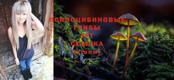 марки lsd Вяземский