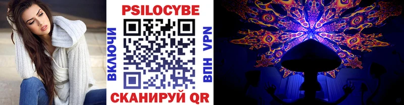 Купить закладки  Кашира  Галлюциногенные грибы MAGIC MUSHROOMS 